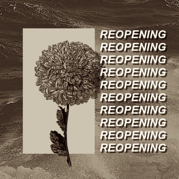 Dresses & Skirts - REOPENING !!!